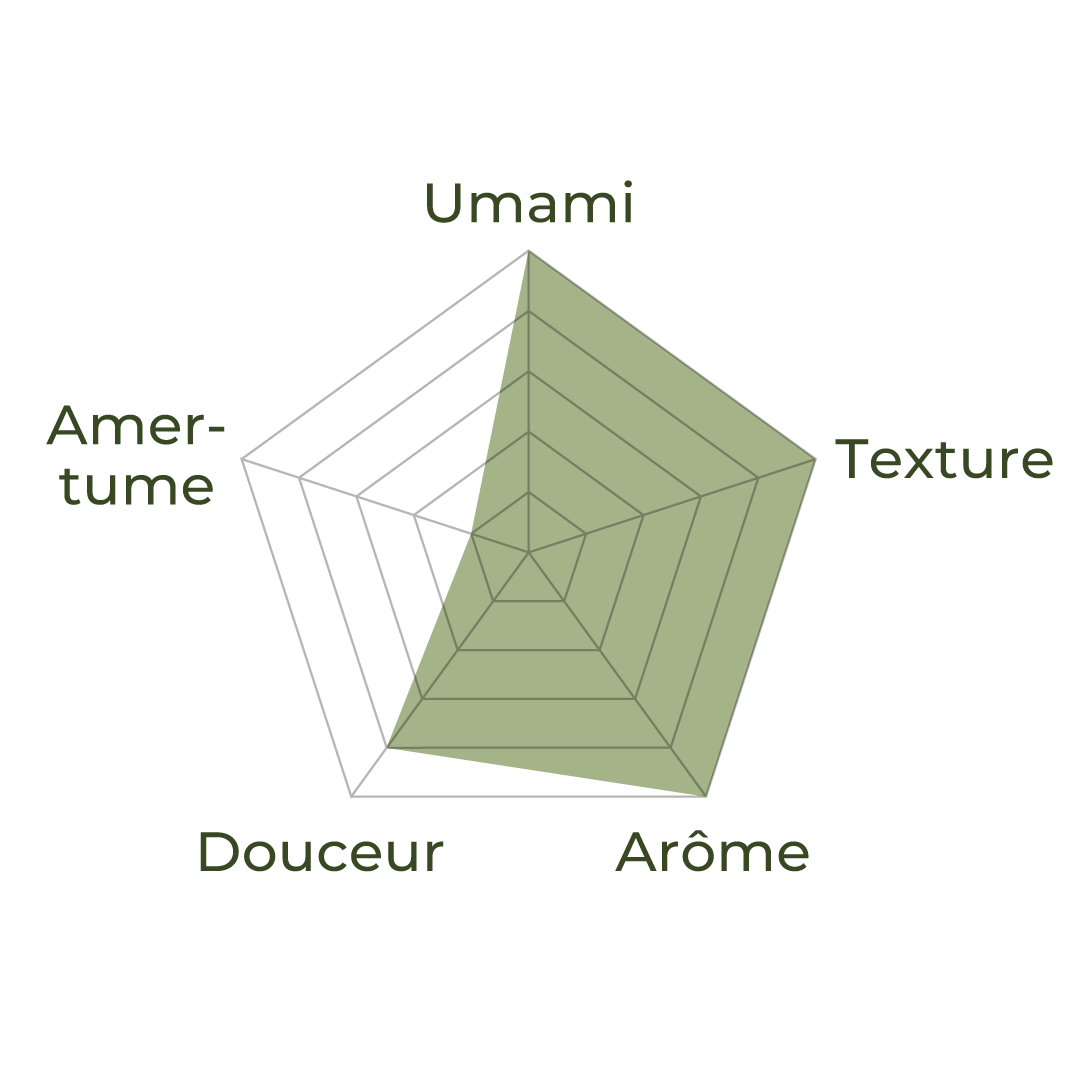 Profil sensoriel du matcha ceremonie Origine, illustrant umami, douceur, amertume, arome et texture