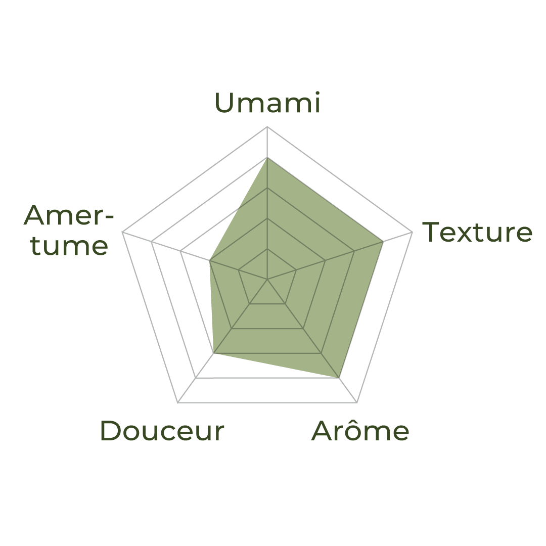 Profil sensoriel du matcha premium, illustrant umami, douceur, amertume, arome et texture