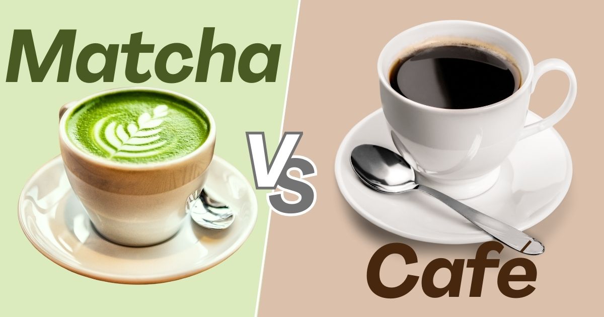 Matcha vs Café : quelle boisson choisir pour l’énergie et la santé ?