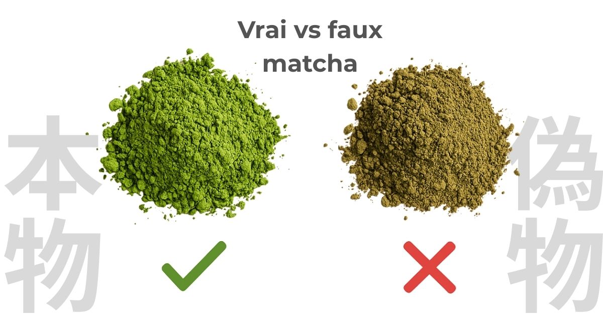 Attention au faux matcha ! Comment reconnaître le véritable matcha japonais ?