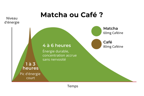 Comparaison de l'effet de la caféine entre le matcha et le café dans le temps