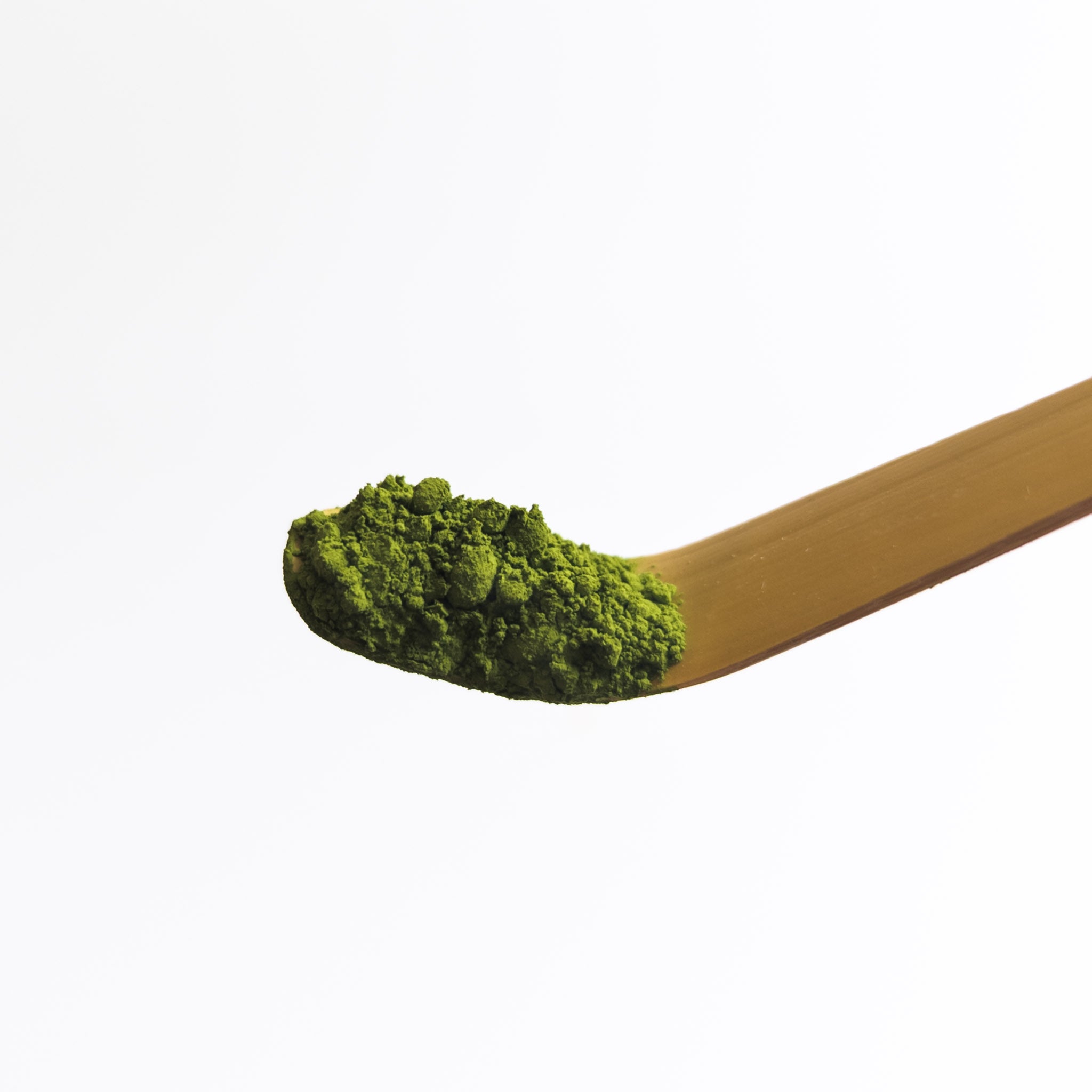 Poudre de matcha sur un chashaku en bambou, utilisee pour le dosage