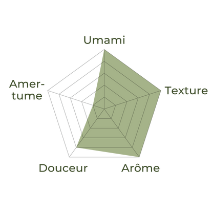 MATCHA CÉRÉMONIE —⁠Origine⁠— BIO